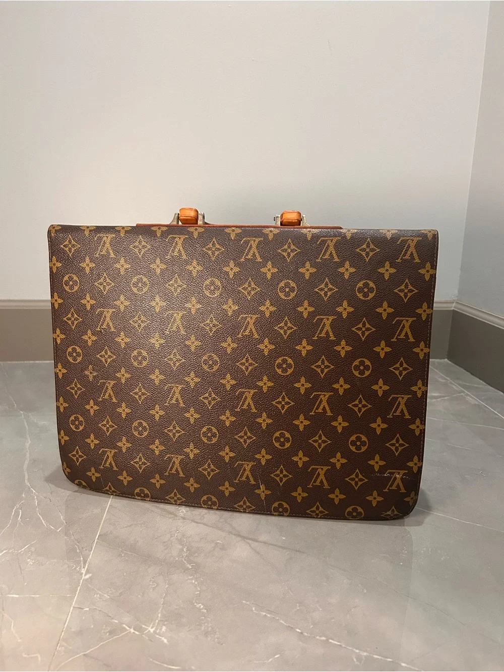 Louis Vuitton monogram canvas